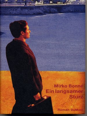 cover image of Ein langsamer Sturz